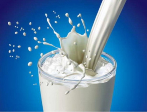 Молоко полезно для организма